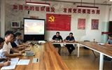 電子信息工程系黨總支開展“重溫入黨誓詞，牢記入黨初心”主題黨日活動